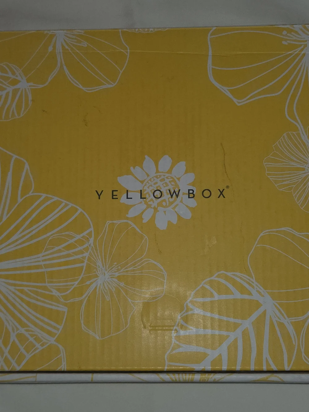 Yellow Box Women's Gold Metallic Flip Flop Sandals 🔥 NEW Size 9